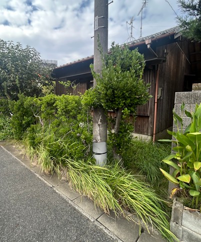 今回、福岡市の空き家管理業務のご依頼をして頂き有難うございます。 ご両親のご自宅の管理、通風通水等、大切に管理させて頂きます。